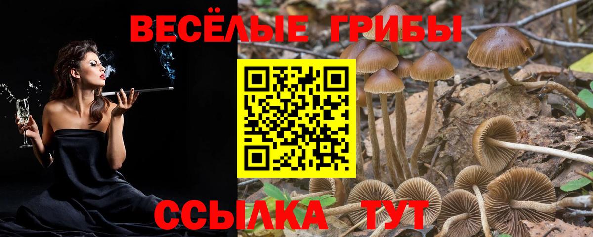 Таганрог  Галлюциногенные грибы мухоморы  Вход с VPN  Галлюциногенные грибы мухоморы 